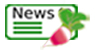 Logo News légumes
